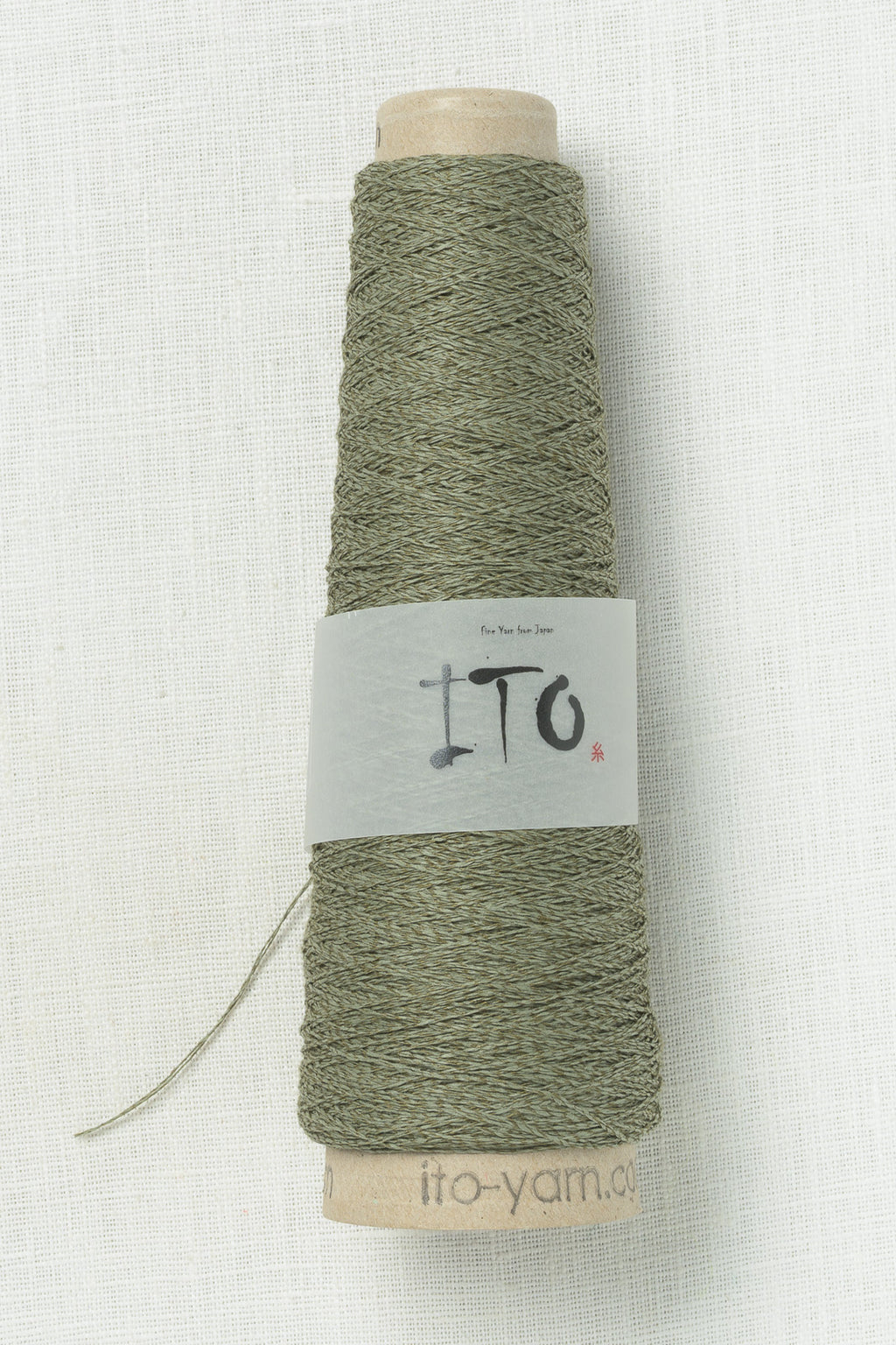 Ito Washi Lizard