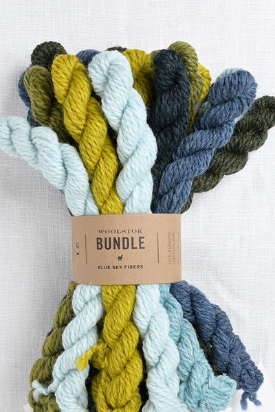 Blue Sky Fibers Woolstok Bundle Cool