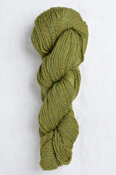 Blue Sky Fibers Woolstok 1309 Earth Ivy 50g
