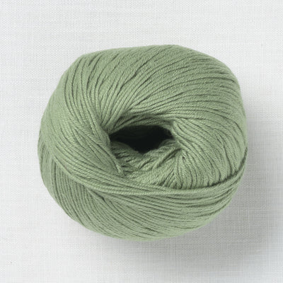 BC Garn Alba 46 Fern Green