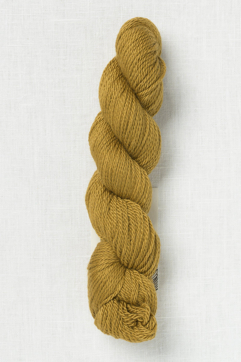 Amano Mayu 2038 Misty Forest