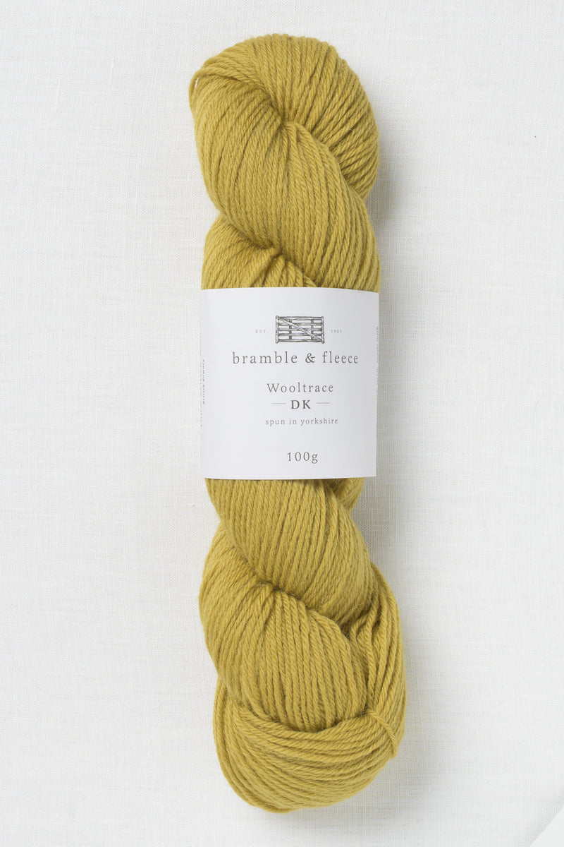 Bramble & Fleece Wooltrace DK 306 Dried Lime