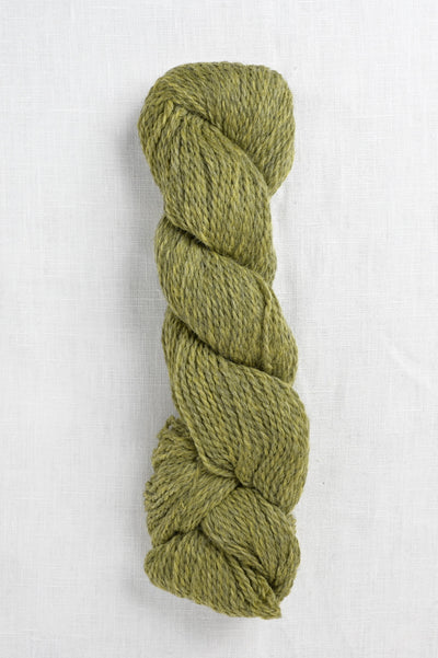 Cascade 220 Sport 2452 Turtle