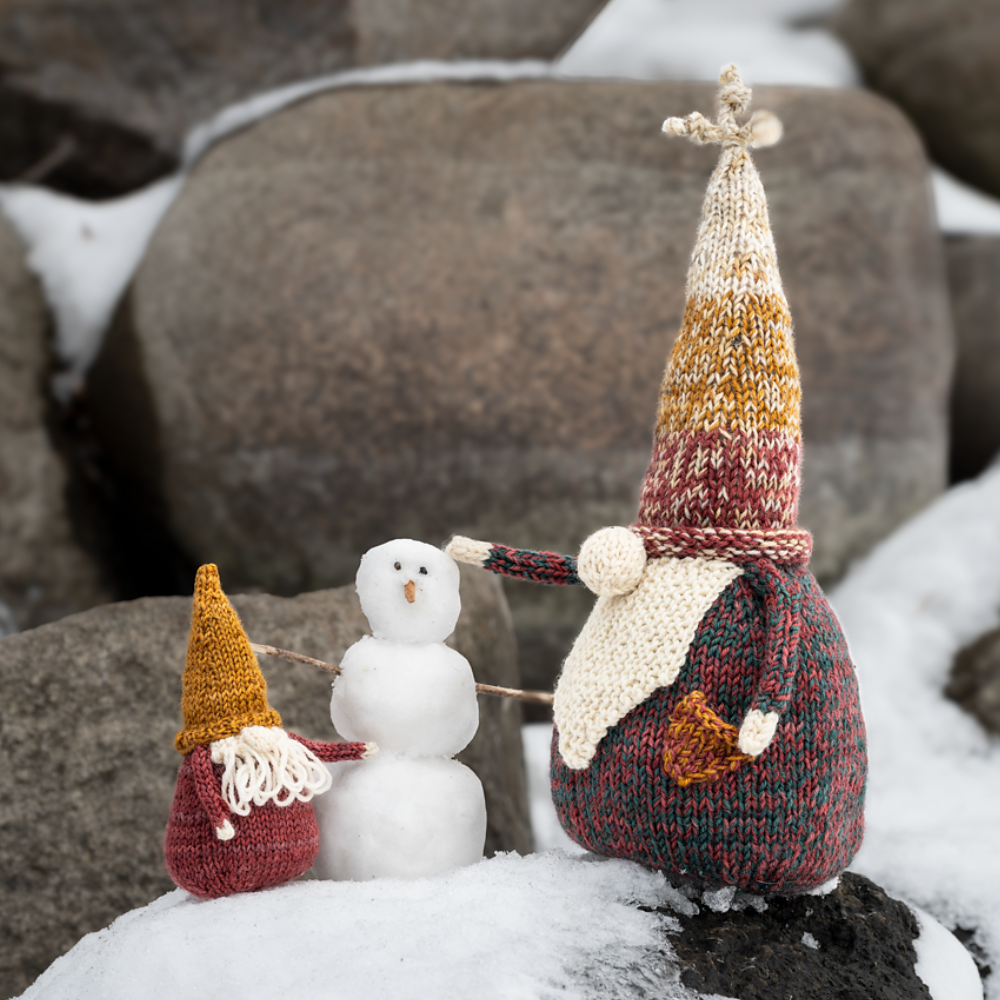 The Gnomes of Grimblewood By Sarah Schira