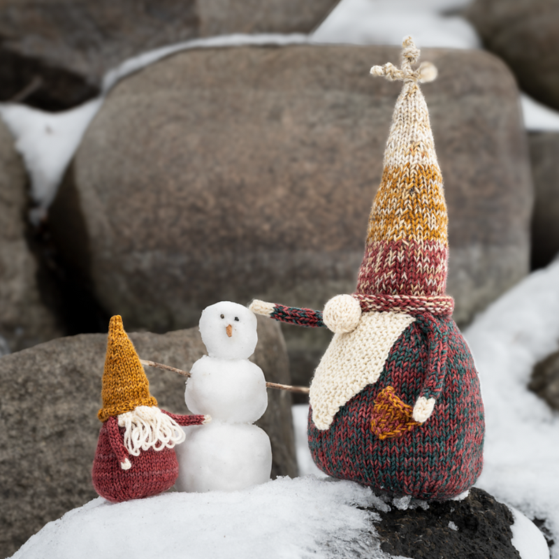 The Gnomes of Grimblewood By Sarah Schira