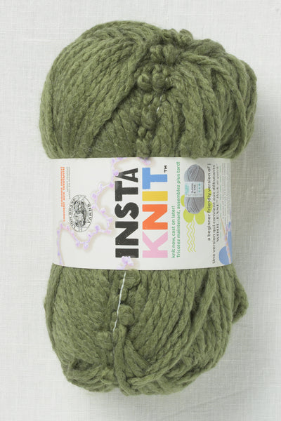 Lion Brand InstaKnit 172AH Evergreen with Envy
