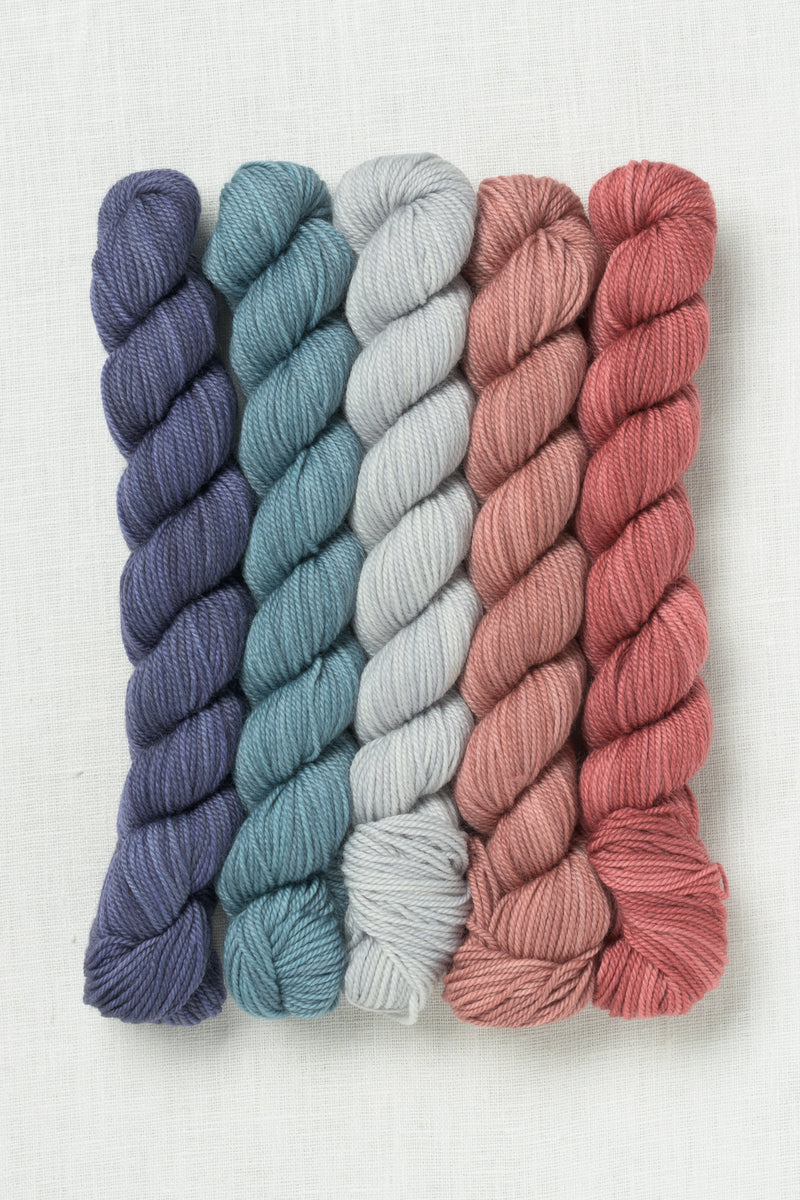 Sweet Georgia Party of Five Tough Love Sock Mini Skein Set Modern Desert