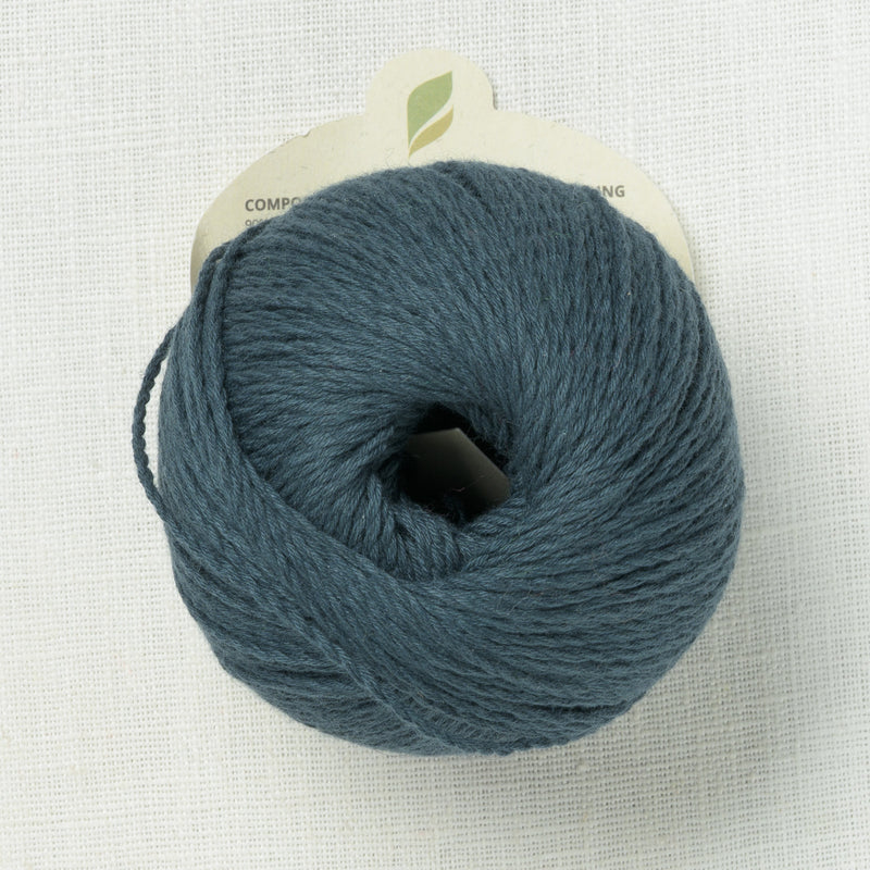 Pascuali Sole 45 Neptune