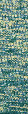Cascade Heritage 6 Hand Paints 606 Lakeside swatch
