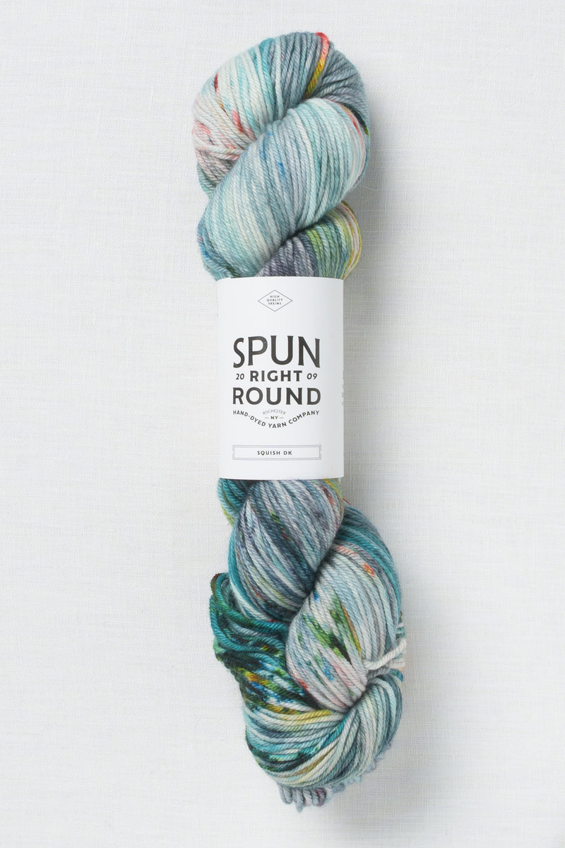 Spun Right Round Squish DK Dr. Amp