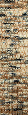 Cascade 220 Superwash Hand Paints 1024 Tortoiseshell swatch