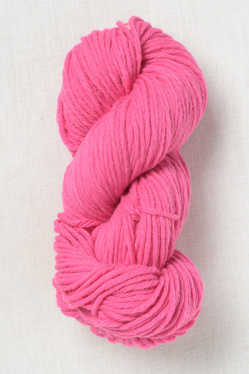 Juniper Moon Farm La Pampa 123 Carnation