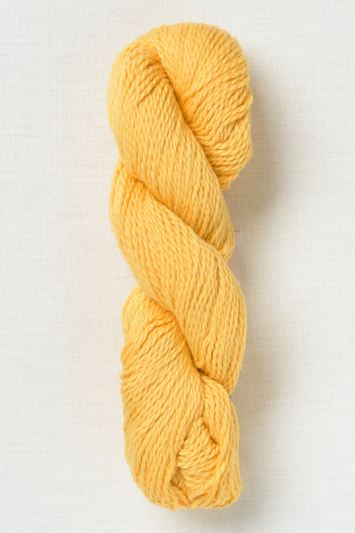 Blue Sky Fibers Organic Cotton Sport 238 Dandelion