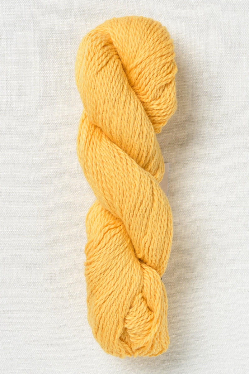 Blue Sky Fibers Organic Cotton Sport 238 Dandelion