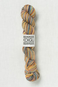 Koigu Painter's Palette Premium Merino KPPPM P041