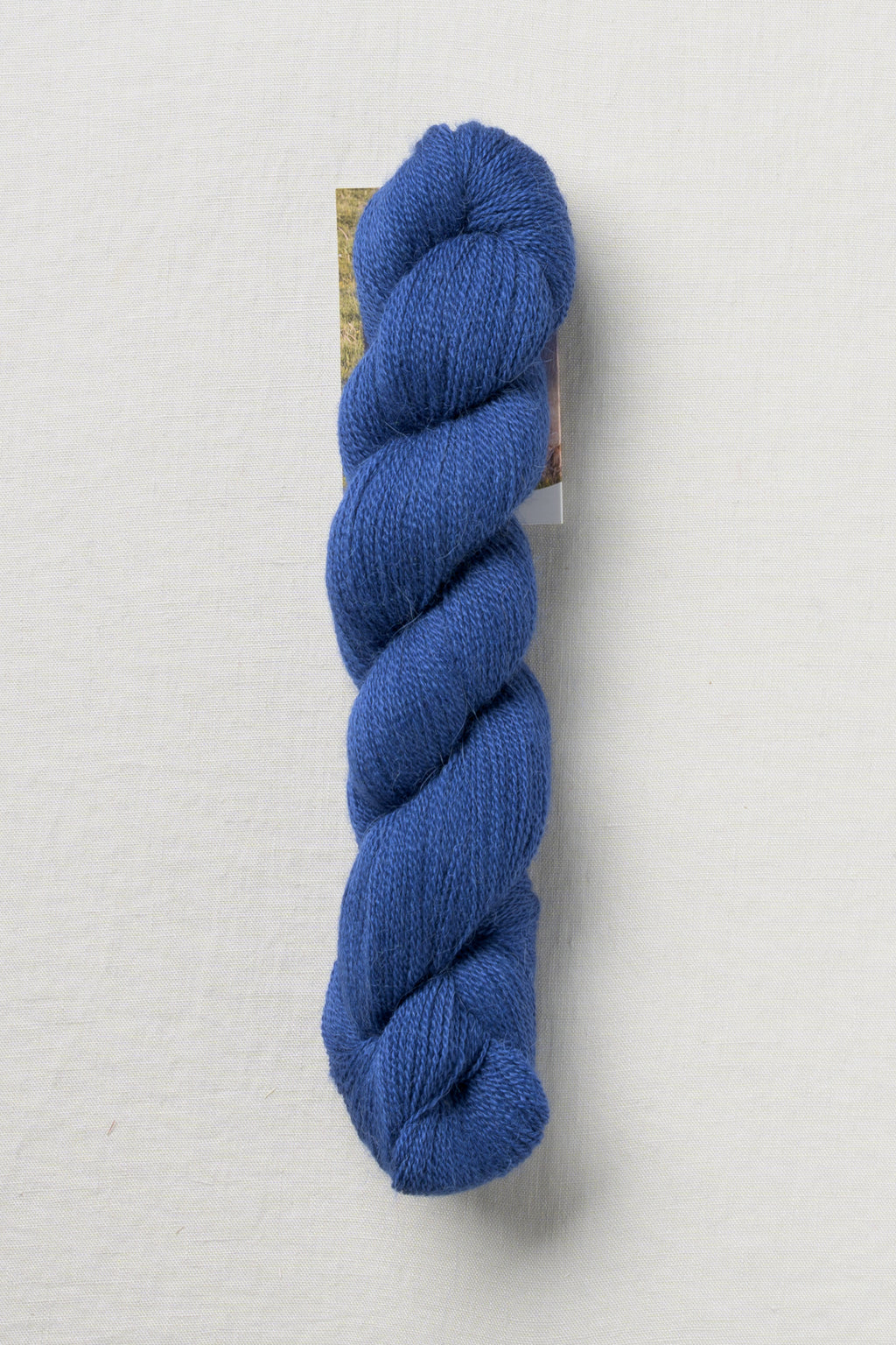 Pascuali Alpaca Lace 13 Cobalt