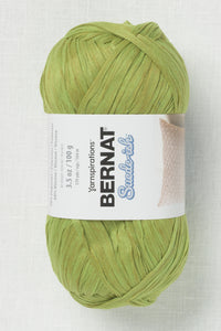 Bernat Suede-ish Cypress