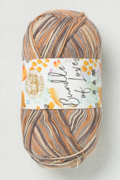 Lion Brand Bundle of Love 221AC Sweater Weather