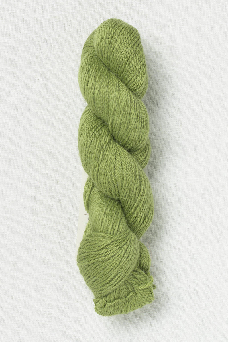 Amano Ayni 5035 Fresh Mint