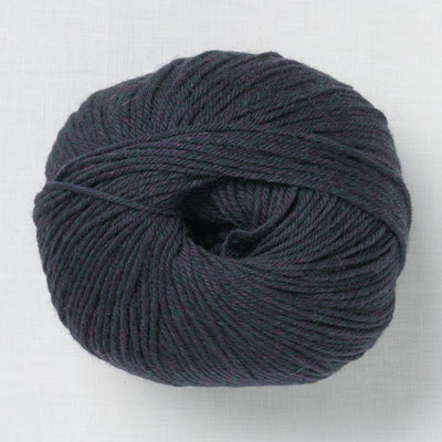Cascade 220 Superwash 417 Borealis Heather
