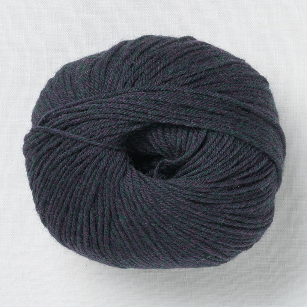 Cascade 220 Superwash 417 Borealis Heather