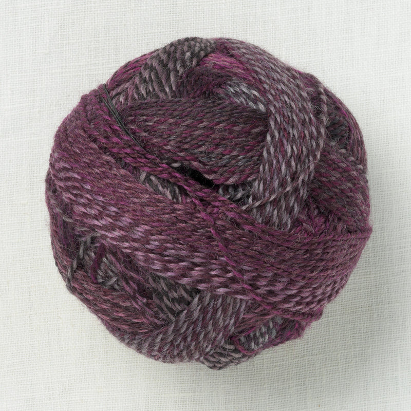 Schoppel Zauberball Starke 6 2543 Dark Roses Inspiration
