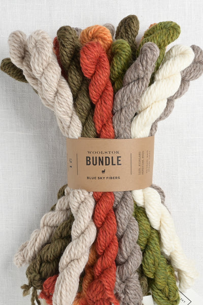Blue Sky Fibers Woolstok Bundle Fall Festival