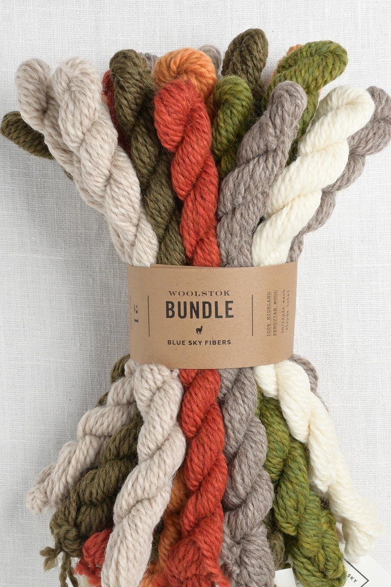Blue Sky Fibers Woolstok Bundle Fall Festival