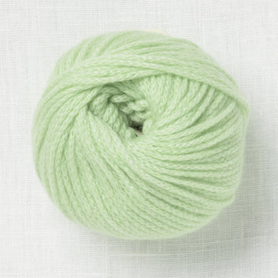 Pascuali Cashmere Delizia 88 Spring Green