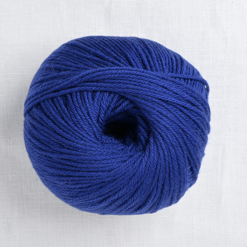 Cascade 220 Superwash 813 Blue Velvet