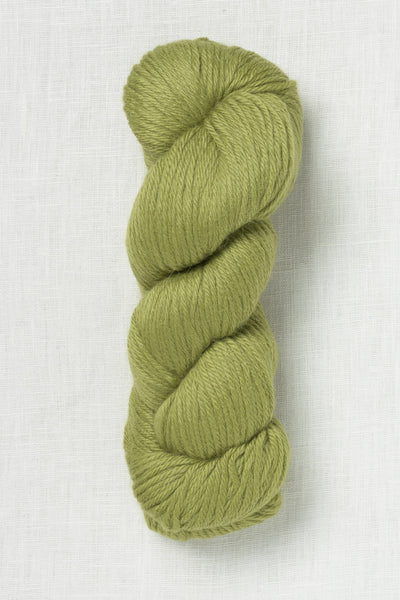 Juniper Moon Farm Herriot 1066 Wasabi