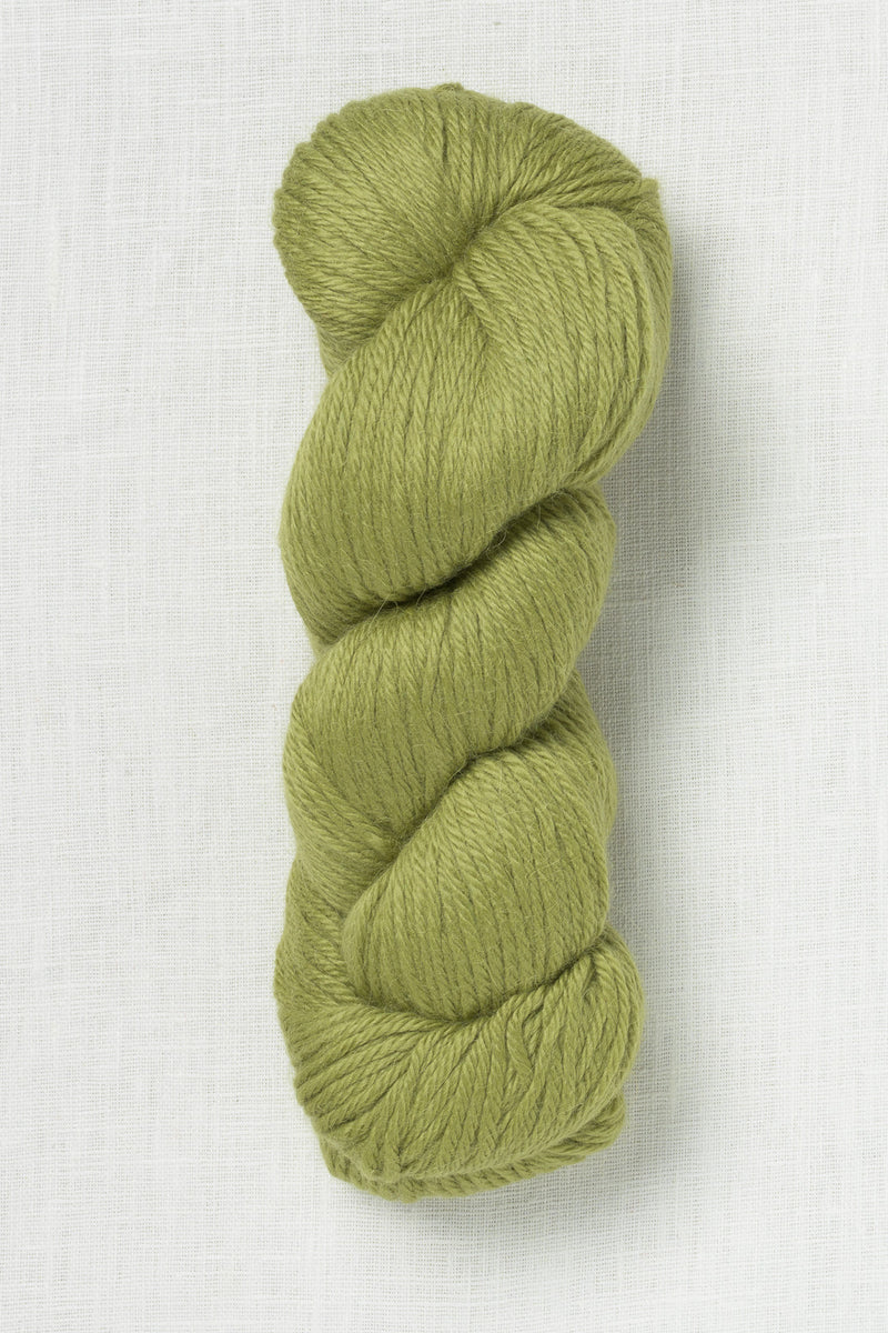 Juniper Moon Farm Herriot 1066 Wasabi
