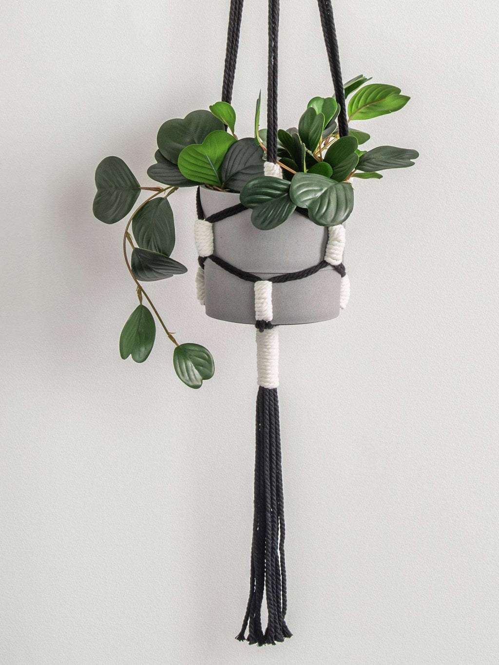 Craft Macrame Color Block Plant Hanger by Bernat Design Studio
