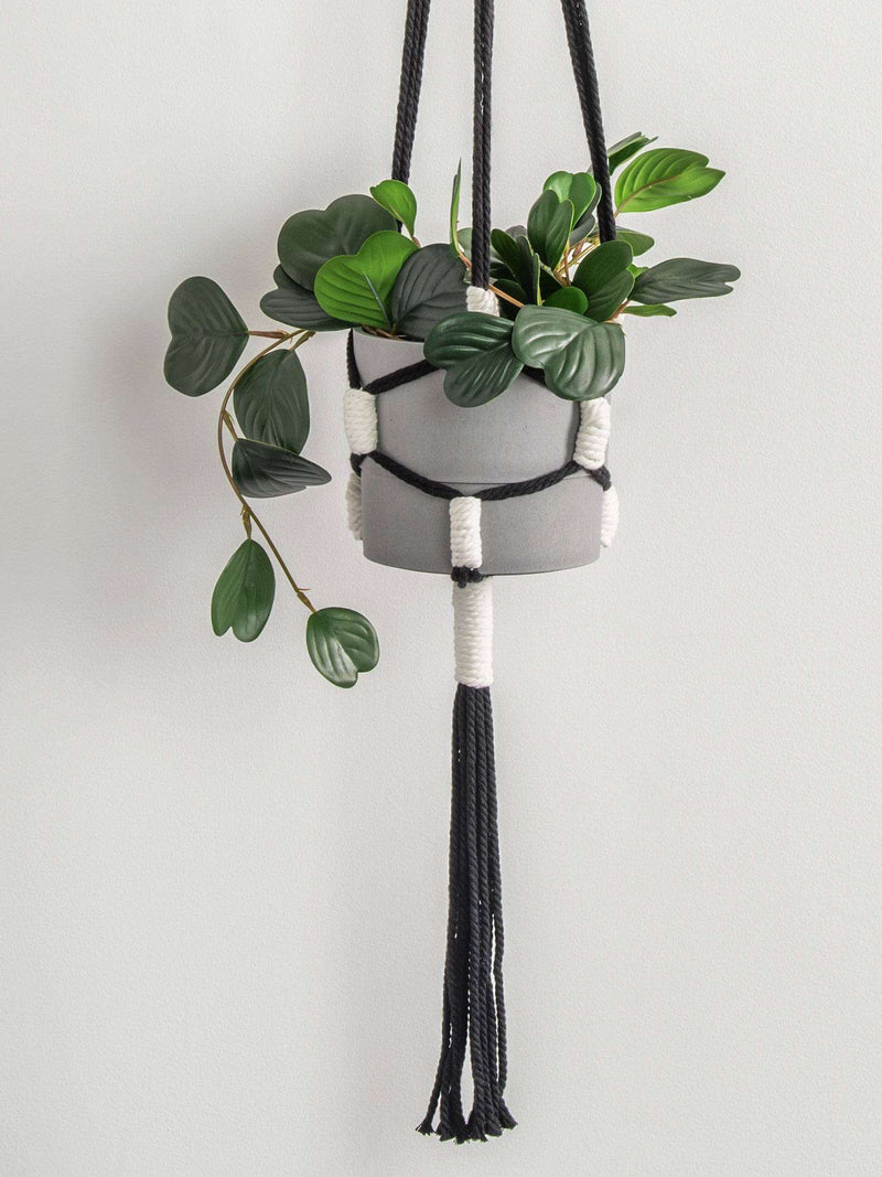 Craft Macrame Color Block Plant Hanger by Bernat Design Studio