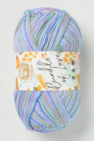 Lion Brand Bundle of Love 238N Baby Sprinkle