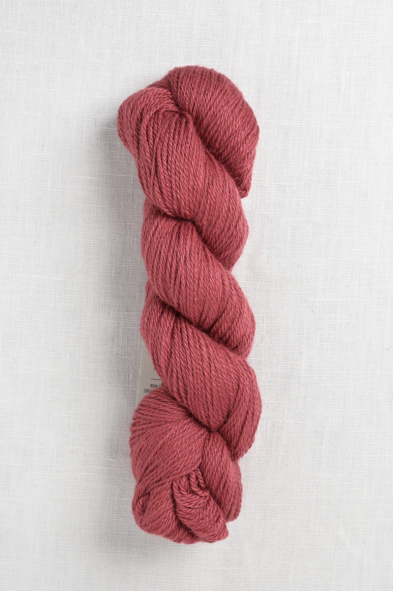 Amano Ayni 5016 Red Apple