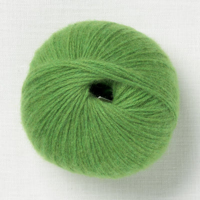 Pascuali Cashmere 6/28 102 Fern