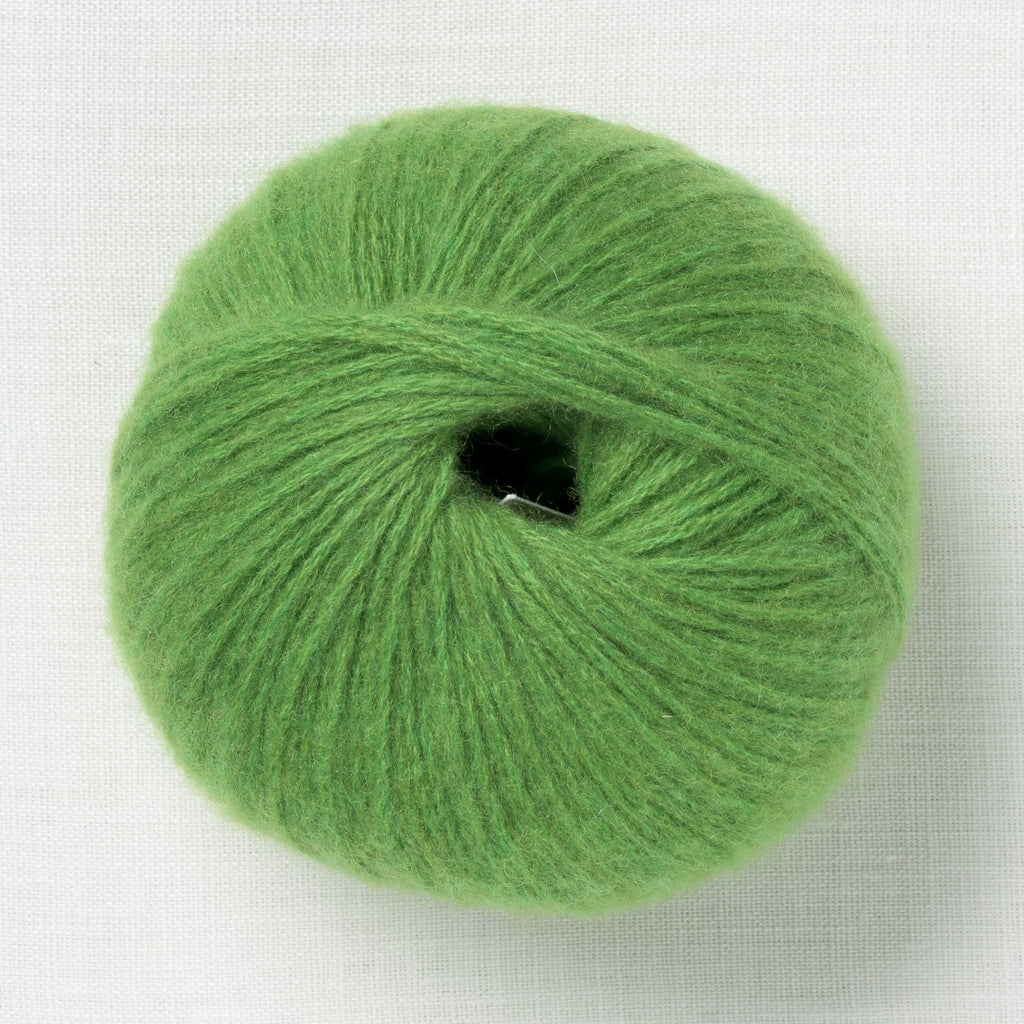 Pascuali Cashmere 6/28 102 Fern