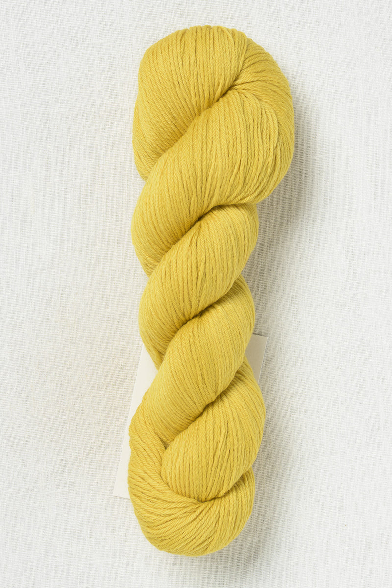 Rosy Green Wool Cheeky Merino Joy 158 Sun