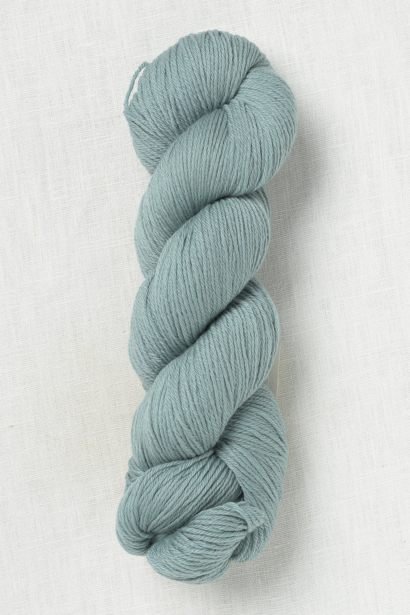 Rosy Green Wool Cheeky Merino Joy 149 Dragonfly