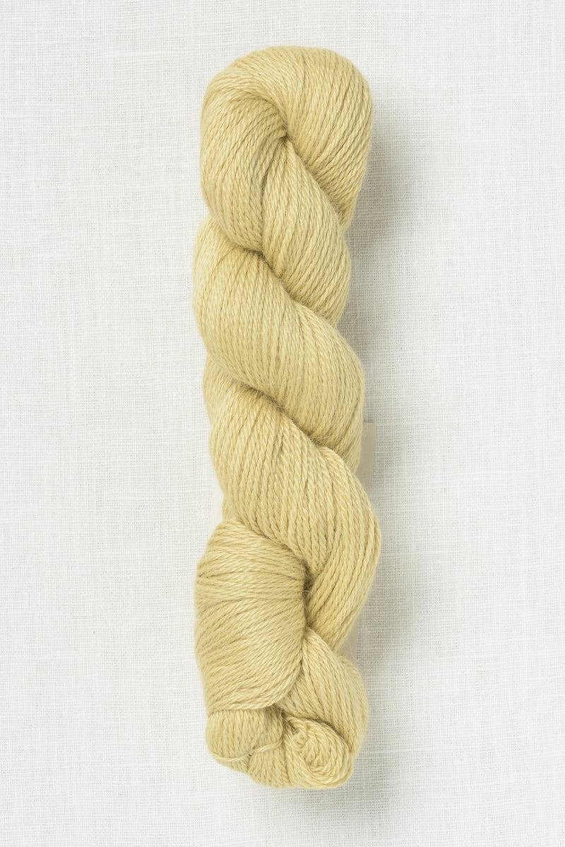 Amano Ayni 5033 Buttercup Glow