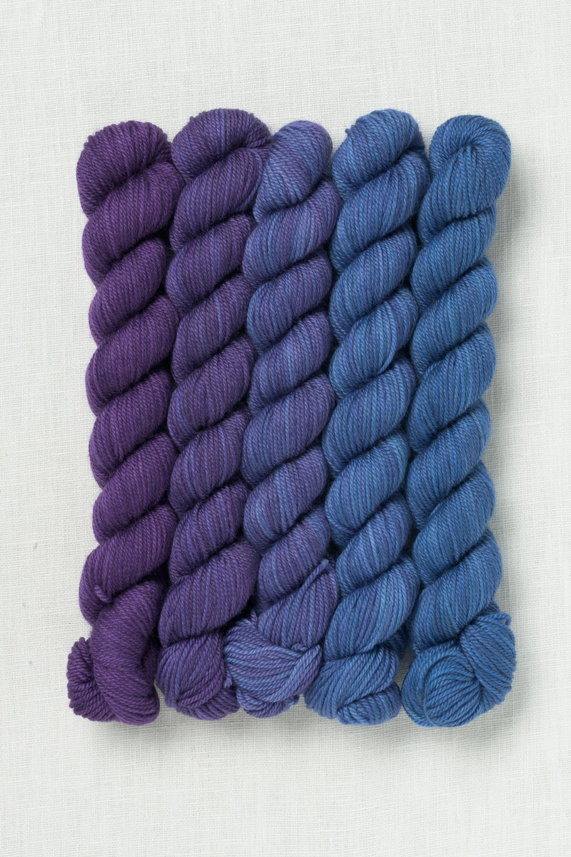 Sweet Georgia Party of Five Tough Love Sock Mini Skein Set Whisper