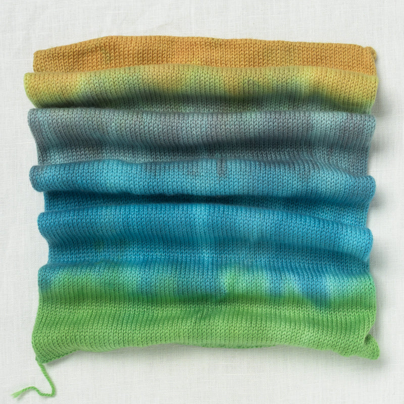 Sweet Georgia Sock Yarn Blank Carrot Thief