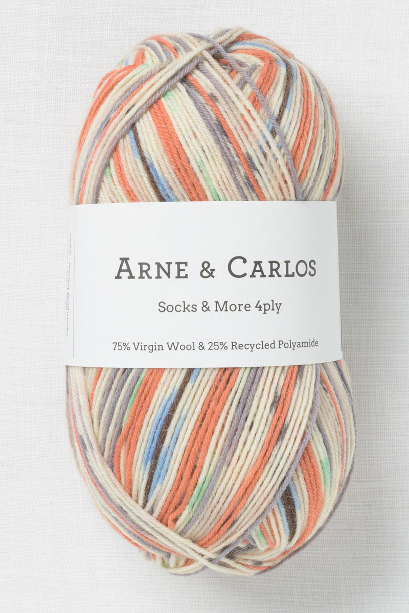 Arne & Carlos Socks & More 4ply Last Brushstroke Color