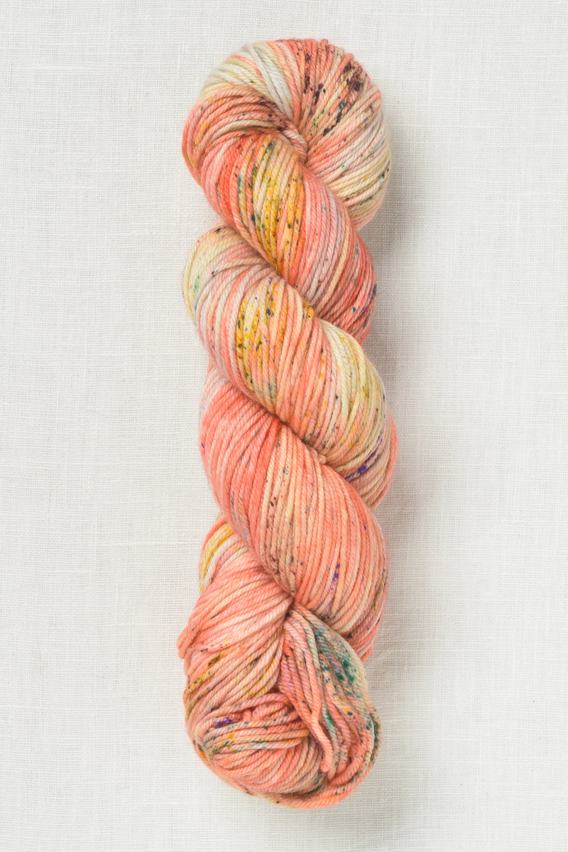 Madelinetosh Tosh Vintage Bicoastal