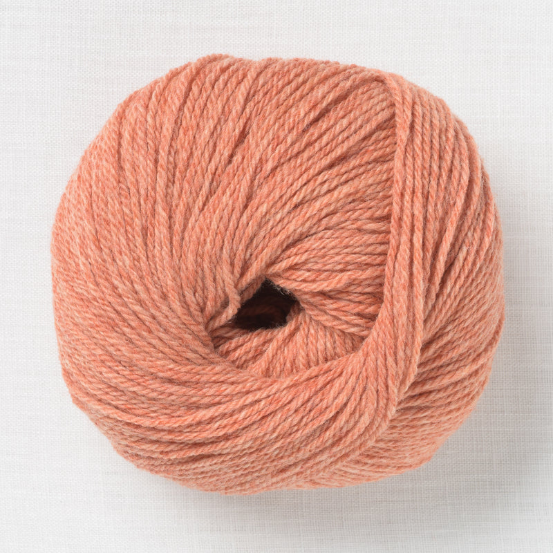 Fonty Tartan 3 2004 Tangerine