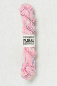 Koigu Painter's Palette Premium Merino KPPPM P212L
