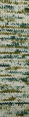 Cascade 128 Superwash Hand Paints 708 Glade swatch