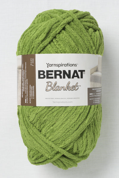 Bernat Blanket Fern
