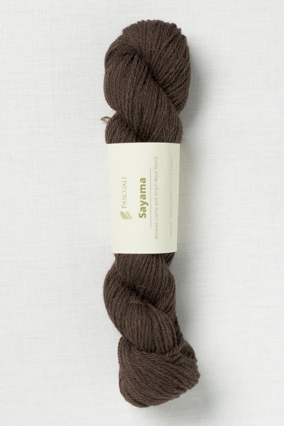 Pascuali Sayama 331 Chocolate